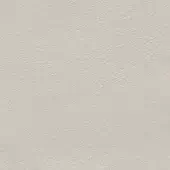 Light beige leather texture with granular surface and irregular grain, presenting a smooth, consistent tone with subtle light variations.